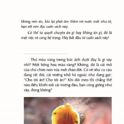 Ăn Được Hay Đừng Ăn - Kỹ Năng Sống Cho Học Sinh