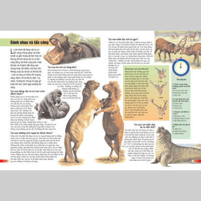 Bách Khoa Tri Thức Cho Trẻ Em - Câu Hỏi Và Trả Lời