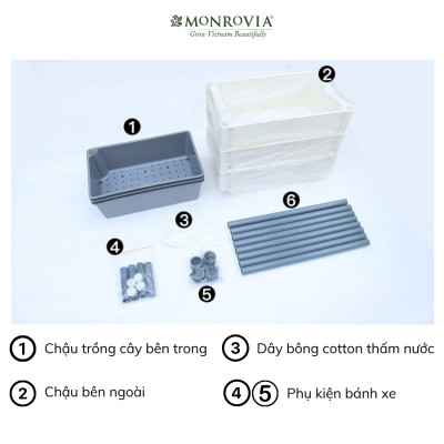 Kệ trồng rau tự tưới D202 MONROVIA cho rau, hoa, có bánh xe di chuyển thuận lợi