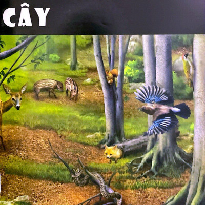 Tủ Sách Thế Giới Động Vật - Nơi Ở Và Thói Quen (Hình Minh Họa 3D)