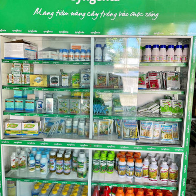 Phân bón vi lượng Champion Trung vi lượng CHELATE (gói 250gr) - xanh lá, dày lá, quang hợp mạnh - chống rụng hoa - rụng trái non - to trái - chắc trái - lên màu đẹp