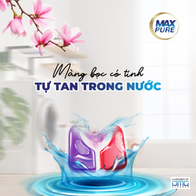 Combo 10 túi viên giặt Maxpure hương Đắm Say  tặng 1 túi viên giặt hương Đắm Say
