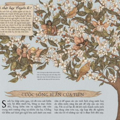 Cẩm Nang Về Tiên, Sinh Vật Huyền Bí Và Phép Thuật