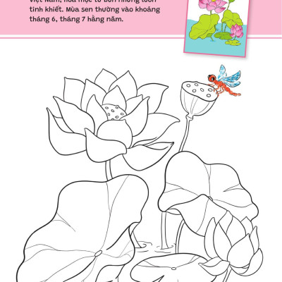 Sách - Yêu Quá Việt Nam - Các Loài Hoa