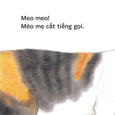 Sách - Sách Ehon - Ú Òa! - Mèo Đâu Rồi? - Bìa Cứng