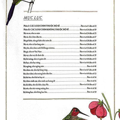 Bách Khoa Thư Cho Cả Nhà - Thế Giới Chim Muông Bằng Tranh