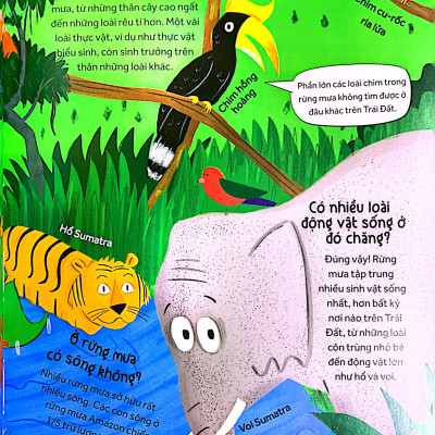 Những câu hỏi tò mò & giải đáp thú vị về rừng mưa