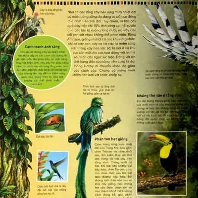 Tủ Sách Thế Giới Động Vật - Nơi Ở Và Thói Quen (Hình Minh Họa 3D)