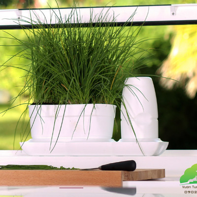 BỘ CHẬU TRỒNG RAU THÔNG MINH TỰ ĐỘNG TƯỚI trong vòng 2 tháng BASIC S, sử dụng 10 năm