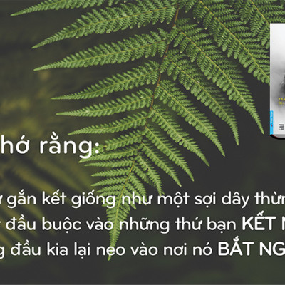Hạnh Phúc Đến Từ Sự Biến Mất