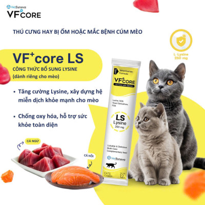 Súp thưởng chức năng VF Core bổ sung Lysine cho mèo gói 12g