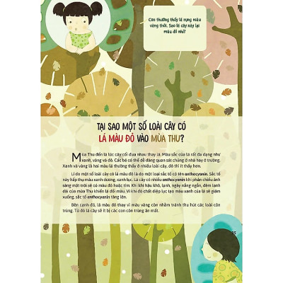 Hỏi Đáp Về Thế Giới