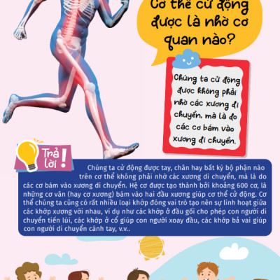 Sách - Kiến Thức Bách Khoa - 10 vạn câu hỏi vì sao - Bí mật cơ thể người (VT)