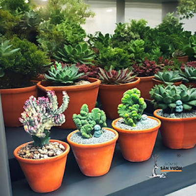 Chậu LY RÈM LOANG W30 X H30