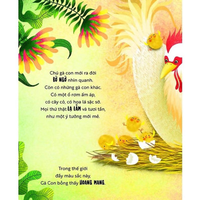 Khu Rừng Cảm Xúc