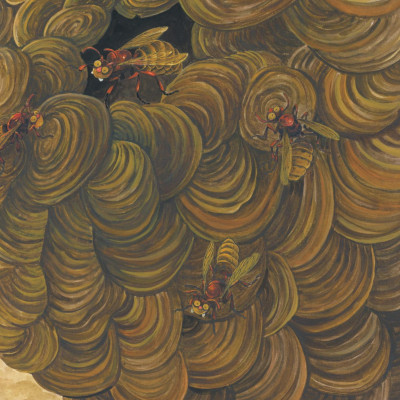 Sách - Truyện Tranh Khoa Học Về Các Loài Côn Trùng - Câu Chuyện Về Bà Villa Nghiêm Khắc - Ong Bắp Cày