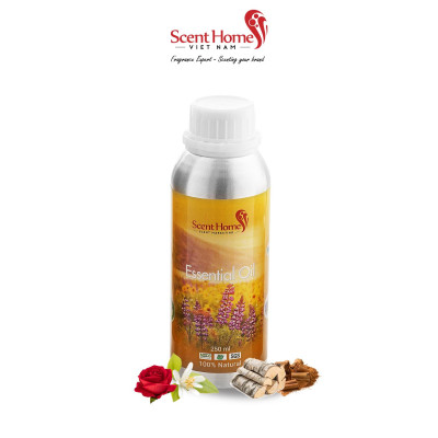 Tinh dầu Scent Homes - mùi hương (BBW Winter Candy Apple)