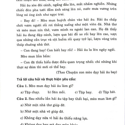 Sách - Đề Kiểm Tra Định Kỳ Tiếng Việt Và Toán 3 - Tập 2