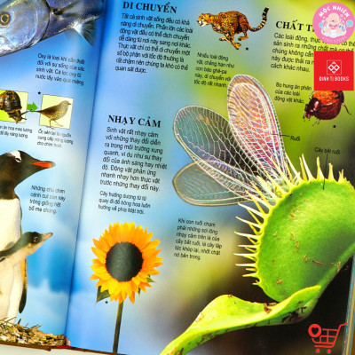 Sách thiếu nhi - Bách khoa tri thức dành cho trẻ em (Usbone) - Tái bản 2022 - Đinh Tị Books