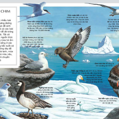 Tủ Sách Tri Thức Bách Khoa Bằng Hình - Thế Giới Động Vật