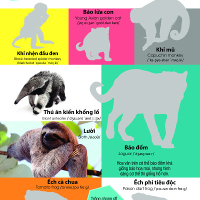 	Dán Hình Nhận Biết Động Vật - Động Vật Hoang Dã (Song Ngữ Việt-Anh) _DTI