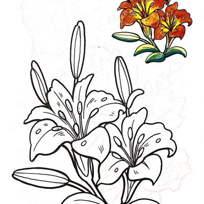 Tập Tô Màu Các Loại Hoa