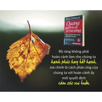 Sách - Combo Đắc nhân tâm  + Quẳng gánh lo đi & vui sống  - FirstNews