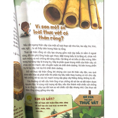 10 Vạn Câu Hỏi Vì Sao? Gõ Cửa Thế Giới Thực Vật - Vanlangbooks