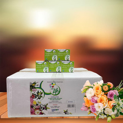 Thuốc Dưỡng Hoa Tươi Cắt Cành Nhập Khẩu Israel hiệu Longlife (1 thùng 1.000 gói 5gr) phù hợp dùng làm nước cắm hoa cho mọi loại hoa tại nhà và 14 ngày không cần thay nước mới