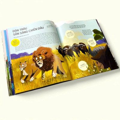 Sách - Teamwork Làm Việc Nhóm - Bài học từ Vương quốc động vật - Dành cho trẻ từ 3 tuổi