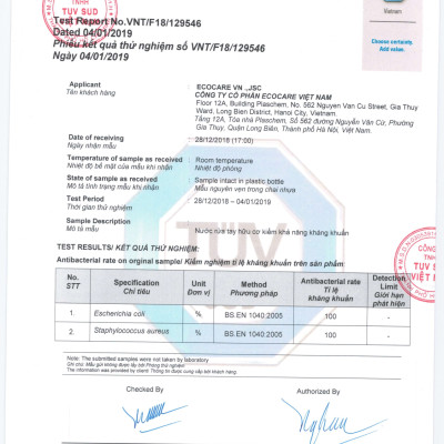 Nước rửa tay hữu cơ diệt khuẩn dạng bọt hương Nhài 1000ml thương hiệu Ecocare ( tặng kèm vỏ tạo bọt)