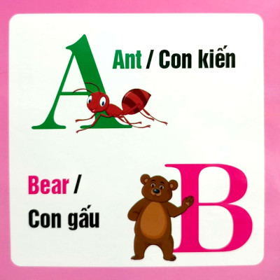 Từ Điển Hình Ảnh Cho Bé - Chữ Cái Tiếng Anh