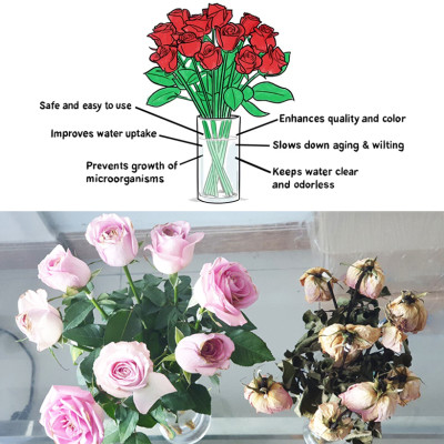 NƯỚC CẮM HOA HỒNG LÂU TÀN (1 LÍT TOG) nhập khẩu ISAREL dành cho Nhà Vườn Trồng Hoa Grower bảo quản hoa