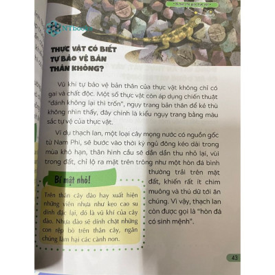 Sách 10 vạn câu hỏi vì sao - Bí mật thế giới thực vật