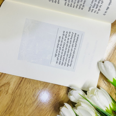 Đại Cương Thiền Quán -Tuệ Sỹ