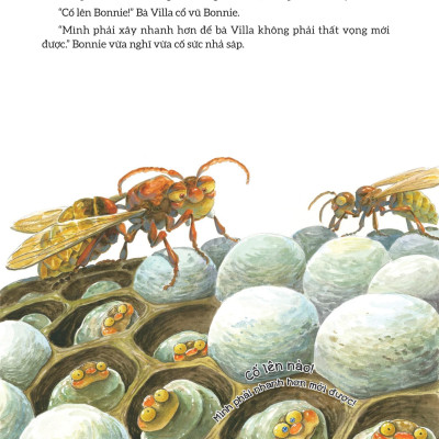 Sách - Truyện Tranh Khoa Học Về Các Loài Côn Trùng - Câu Chuyện Về Bà Villa Nghiêm Khắc - Ong Bắp Cày
