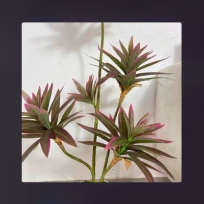 Bộ cây phát lộc giả 5 nhánh - Kích thước 80cm - Cây giả, hoa lụa Decor trang trí nhà cửa