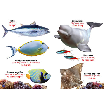 Sách - Từ Điển Bằng Hình Động Vật Dưới Nước (Song Ngữ Đầu Tiên Của Bé)-mk