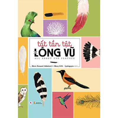 TẤT TẦN TẬT VỀ LÔNG VŨ