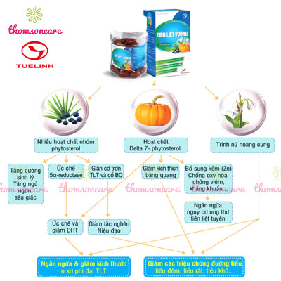 Tiền liệt vương - Hỗ trợ giảm tiểu đêm, tiểu buốt - Hộp 60 viên chính hãng Tuệ linh