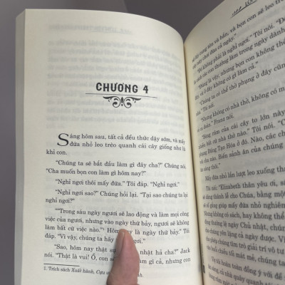 [Ấn bản 2023] LỚN LÊN TRÊN ĐẢO VẮNG - Johann David Wyss – Dịch giả Minh Quyên - Đinh Tị Books - NXB Thanh Niên.