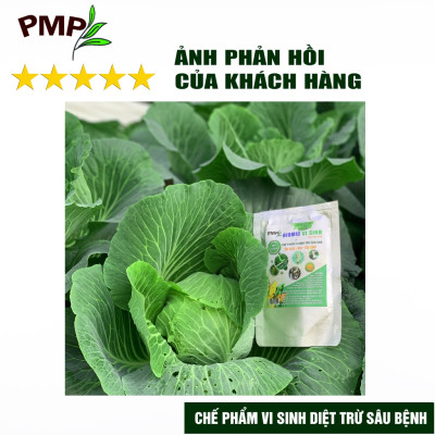 Bộ trừ bệnh vi sinh, sinh học PMP cho cà chua bạch tuộc - Killpa, Trichoderma, Biomic, Green Neem, Giấm gỗ Apy, Mật rỉ đường