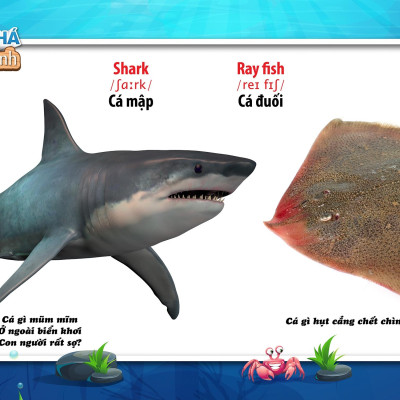 Song Ngữ Anh - Việt CBKPTGXQ - Động Vật Dưới Nước