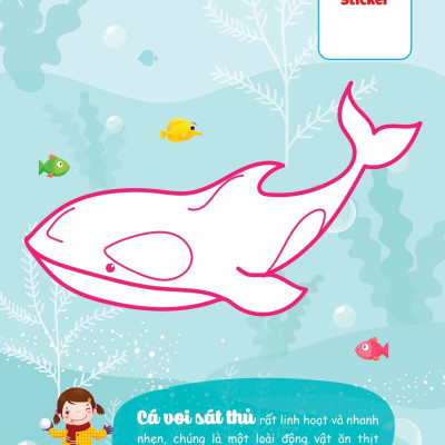 Con Tô Màu - Thám Hiểm Bắc Cực