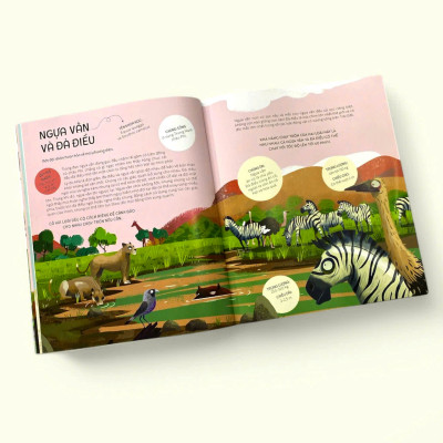 Sách - Teamwork Làm Việc Nhóm - Bài học từ Vương quốc động vật - Dành cho trẻ từ 3 tuổi