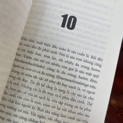 QUẢ TÁO THẦN KỲ CỦA KIMURA - Ichikawa Takuji – Quỳnh Nga dịch – Thái Hà books – NXB Công Thương (Bìa mềm)