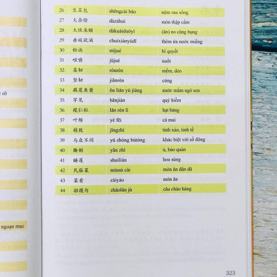 Sách - combo: Ngữ Pháp Hán Ngữ Thực Dụng  +Du lịch Việt Nam ẩm thực và cảnh điểm có phiên âm có mp3 nghe + DVD tài liệu