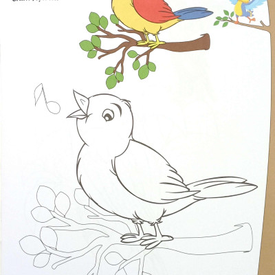 Sách - Bé Tập Tô Màu - Các Loài Chim