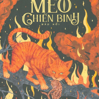 Mèo Chiến Binh - Bão Nổi