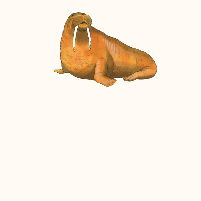 BÁCH KHOA TRI THỨC - KHÁM PHÁ ĐẠI DƯƠNG